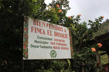 Кафе Никарагуа Финка Ел Боске